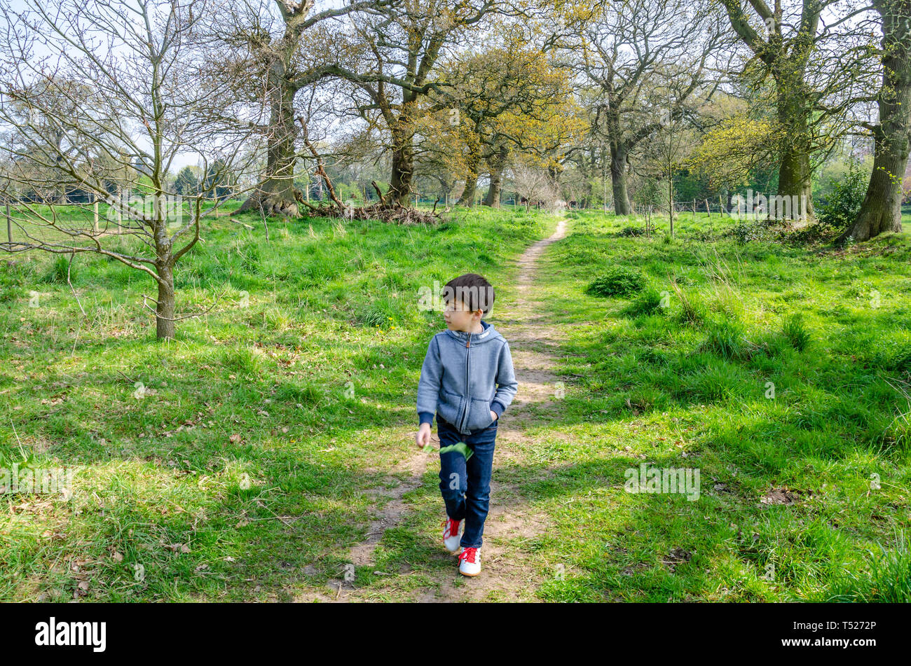 Un jeune garçon marche à travers une clairière dans un bois en pleine campagne près du village de tonne à South Staffordshire près de Wolverhampton Banque D'Images