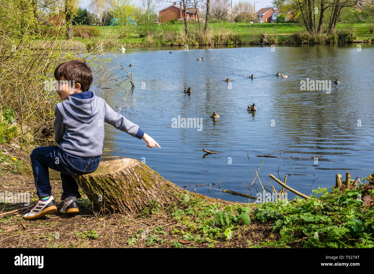 Un jeune garçon est assis sur une souche d'arbre à côté de la partie supérieure du lac dans le village de tonne près de Wolverhampton en Afrique du Staffordshire, Royaume-Uni Banque D'Images