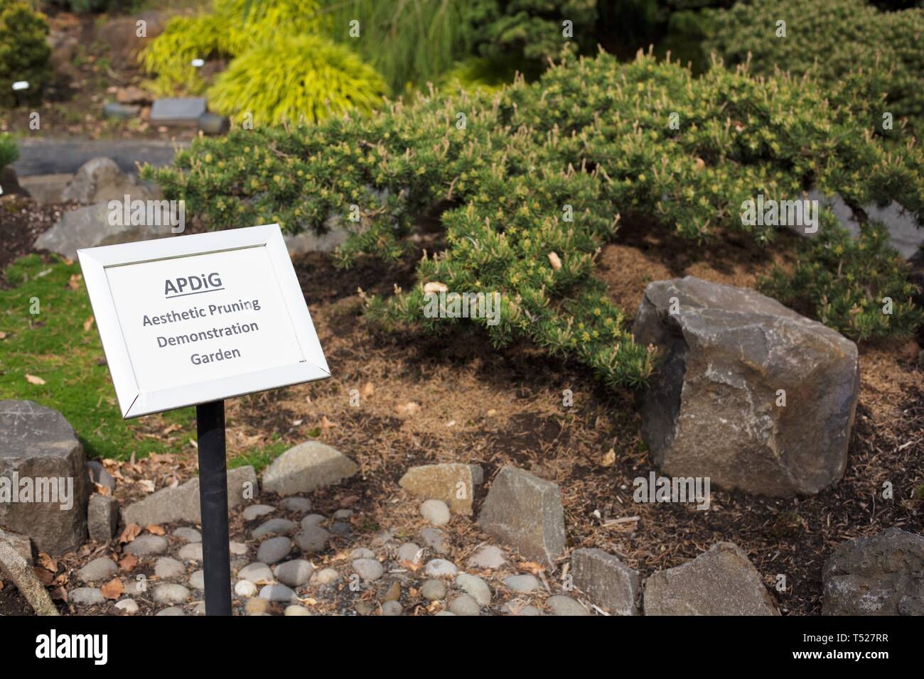 Un panneau à l'élagage esthétique au jardin de démonstration de l'Oregon Garden à Silverton, Oregon, USA. Banque D'Images