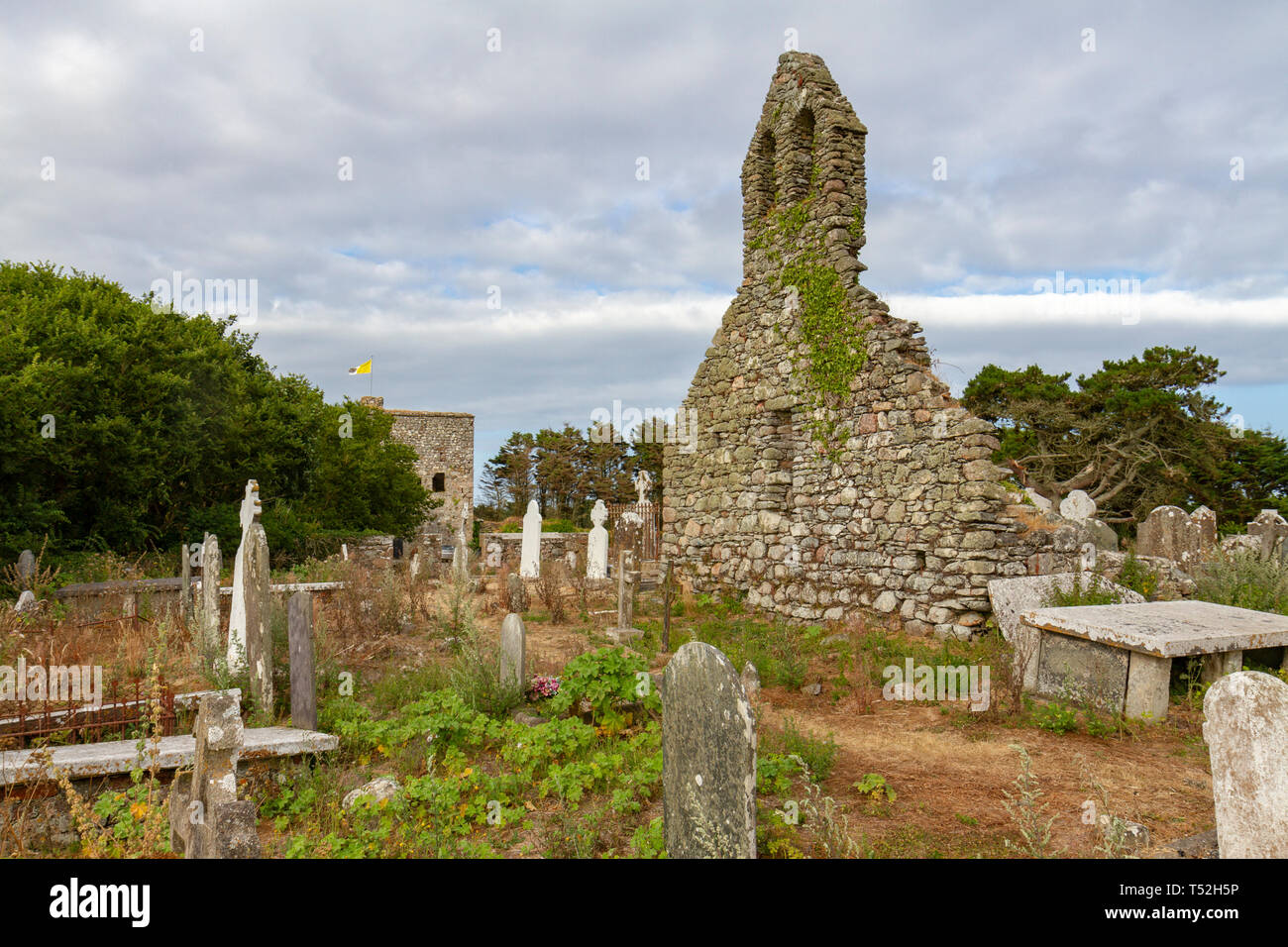 Les ruines de l'Église, un saint Asnieres 6e siècle du Monastère de l'Île Notre Dame, Co Wexford, Irlande. Banque D'Images