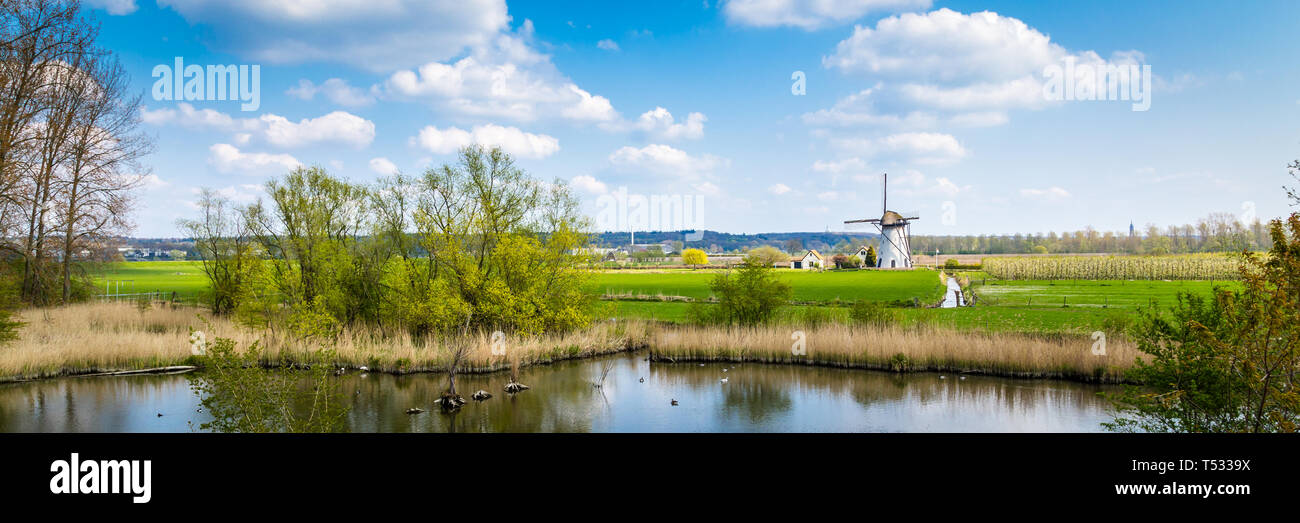 Moulin à vent hollandais blanc près de Kesteren en Gueldre dans les Pays-Bas Banque D'Images