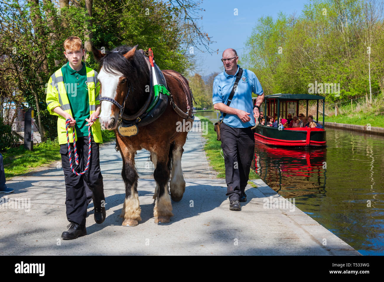 Canal à cheval excursion en bateau à quai de Llangollen, Wales, UK. L'extraction d'un chaland plein de personnes bénéficiant d'un petit voyage en bateau sur une journée ensoleillée. Banque D'Images
