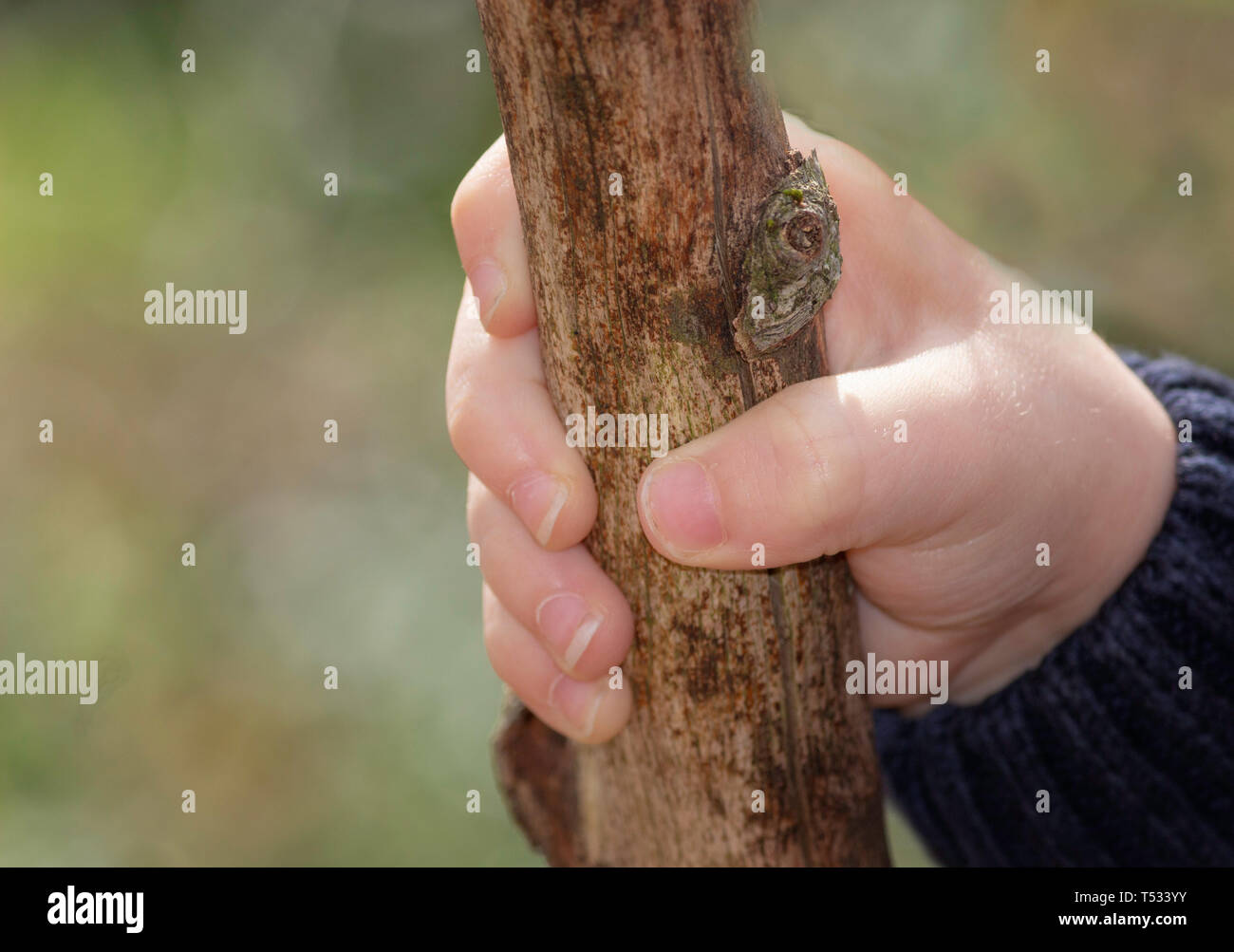 Un gros plan d'une main tenant une branche d'arbre dans une forêt explorer la nature Banque D'Images