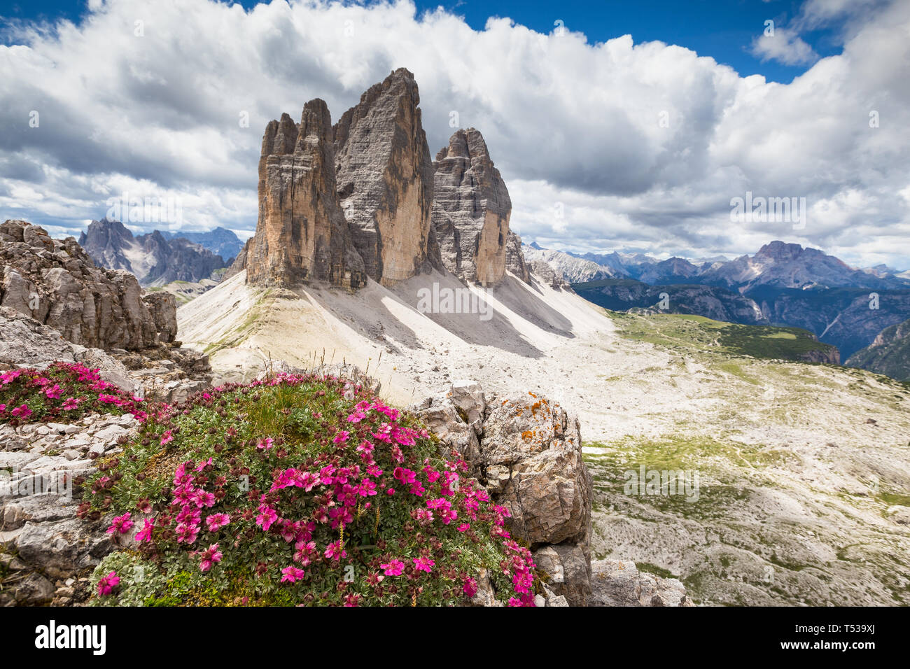 Potentilla nitida fleurs. Tre Cime di Lavaredo pics de montagne. Les trois Sommets Nature Park. Paysage de montagne des Dolomites. L'Italie. L'Europe. Banque D'Images
