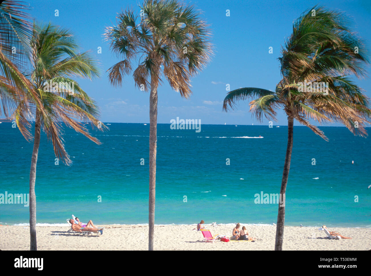 Pi.Fort Lauderdale Floride, plages de plage, sable, surf, Atlantic Shore palmiers soleil, bains de soleil, les visiteurs Voyage tourisme réseau local Banque D'Images