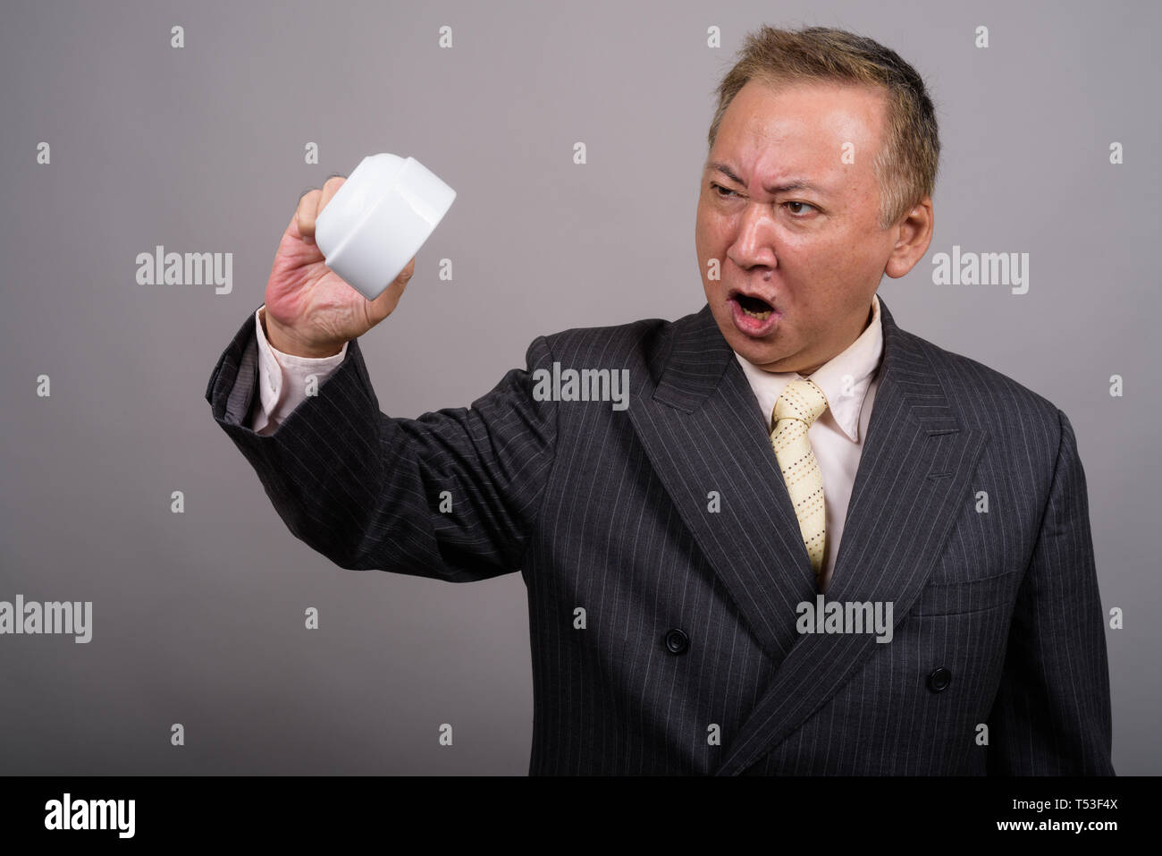 Portrait of mature Asian businessman contre l'arrière-plan gris Banque D'Images