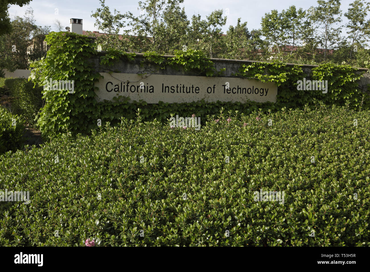 Caltech signer sur le campus, California, USA Banque D'Images