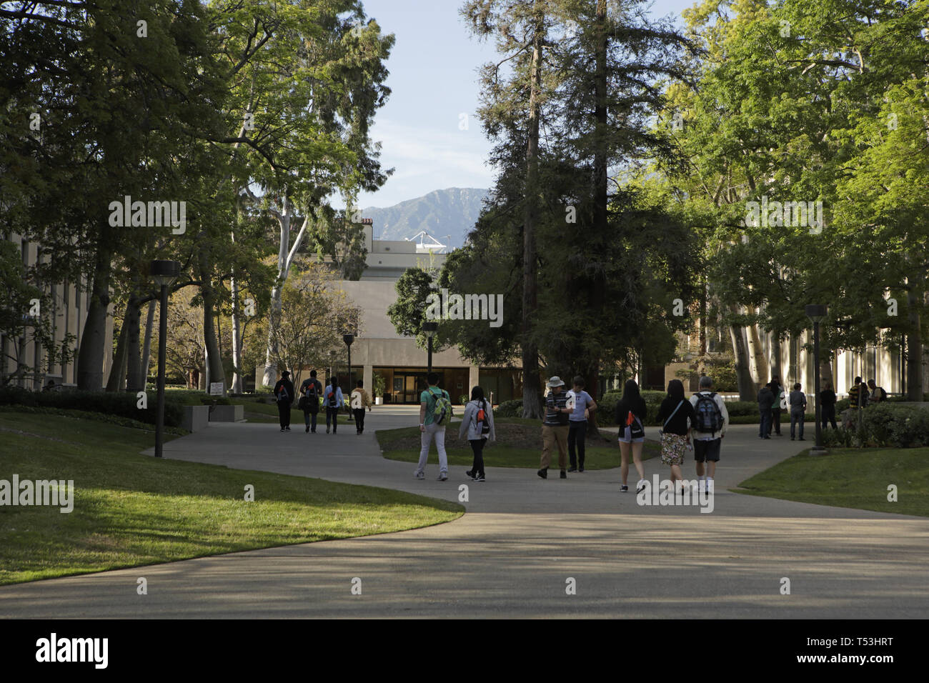 Caltech série campus Banque D'Images