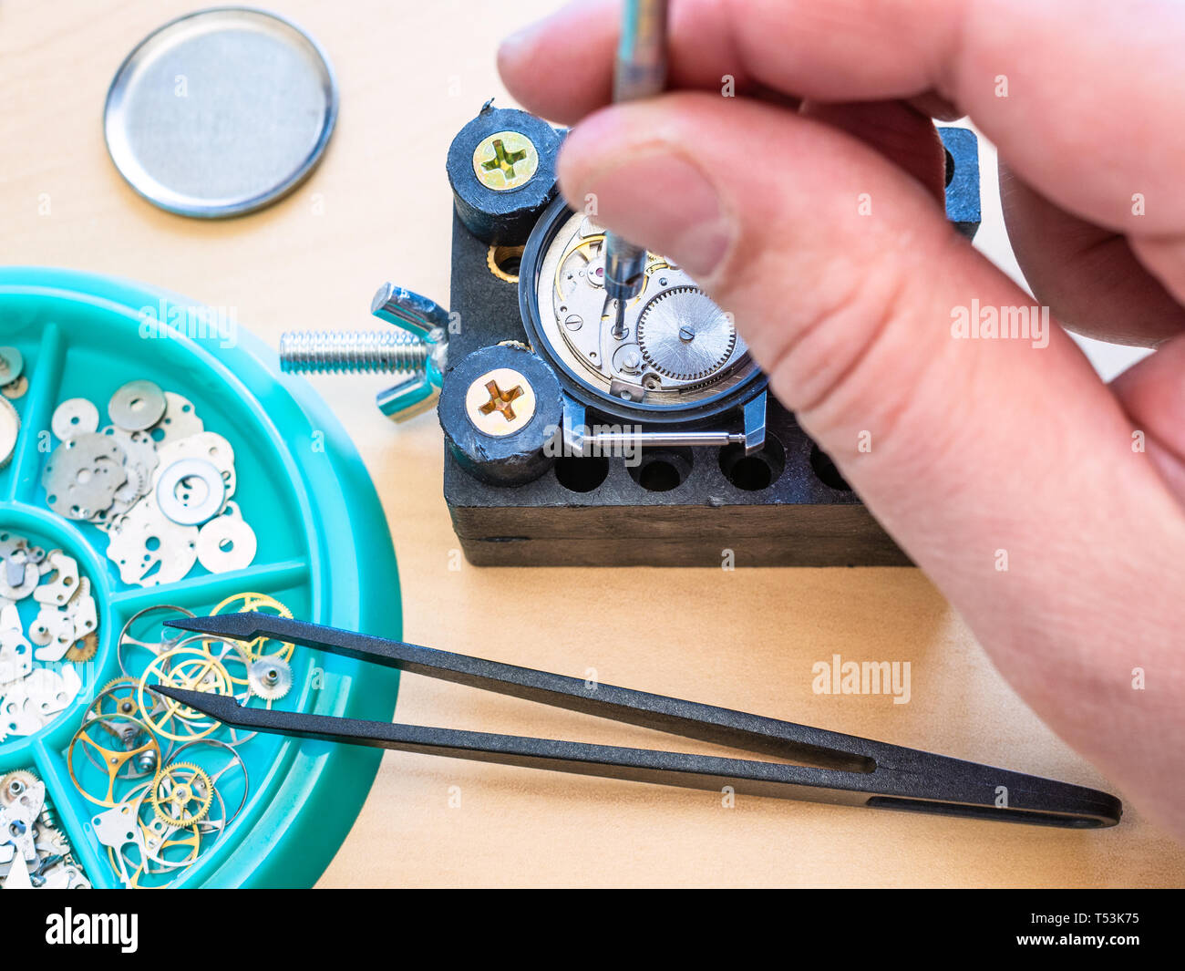 Montre mécanique horloger ajuste par tournevis dans le support sur la table dans l'atelier close up Banque D'Images