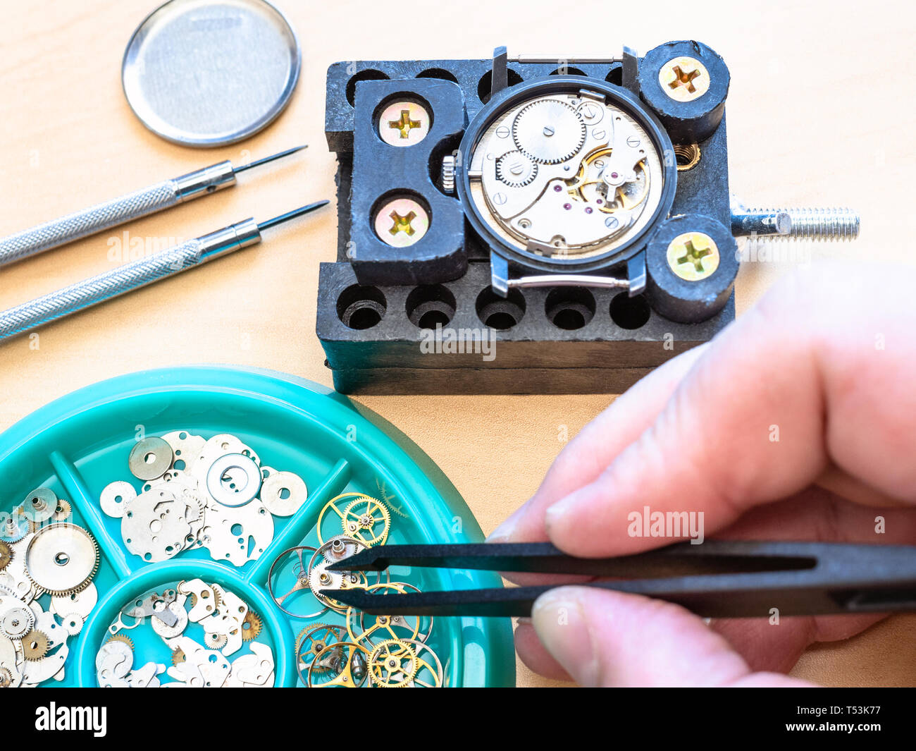 Engrenage horloger prend pour montre mécanique avec des brucelles in close up Banque D'Images