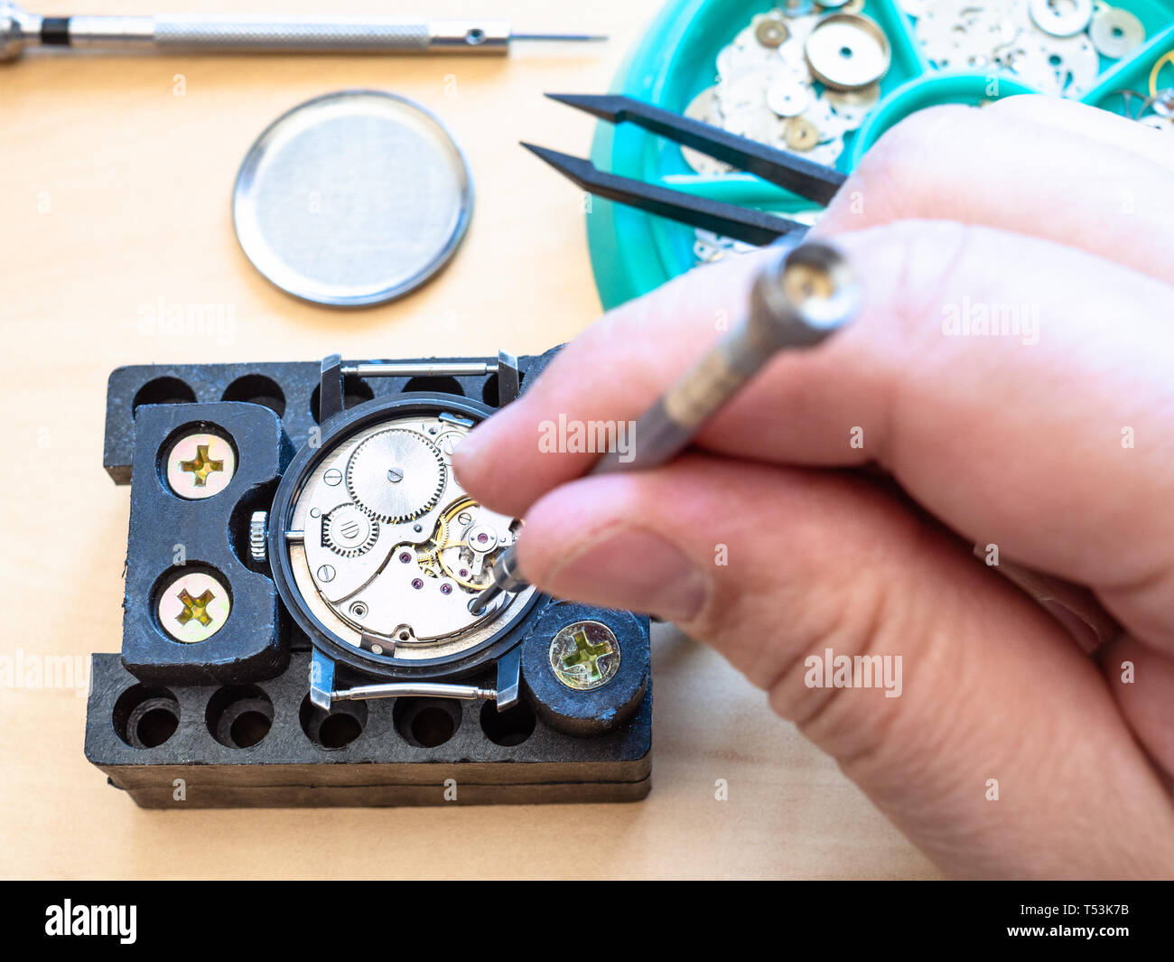 Vue de dessus d'horloger montre mécanique désassemble par tournevis dans le support sur la table dans l'atelier close up Banque D'Images