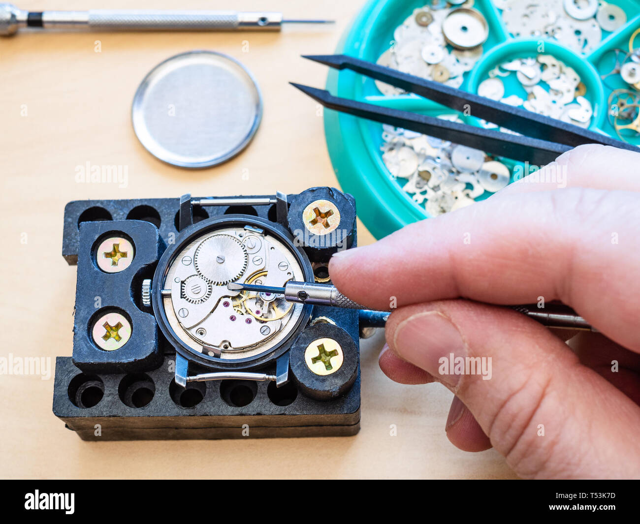 Vue de dessus d'horloger horlogerie montre mécanique de correctifs par tournevis dans le support sur la table dans l'atelier close up Banque D'Images