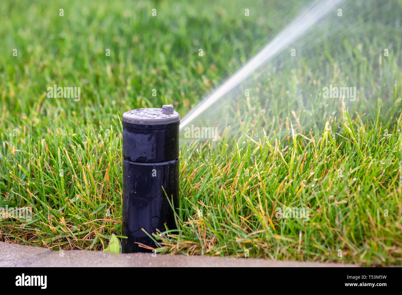 L'eau de dispersion des têtes de pelouse à l'herbe. Pulvériser de l'eau  gicleurs d'herbe sur la pelouse close up Photo Stock - Alamy