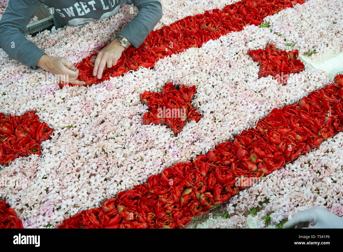 Couvrir les participants avec des fleurs les flotteurs qui participeront au défilé de la région de production de fleurs en Hollande. Banque D'Images