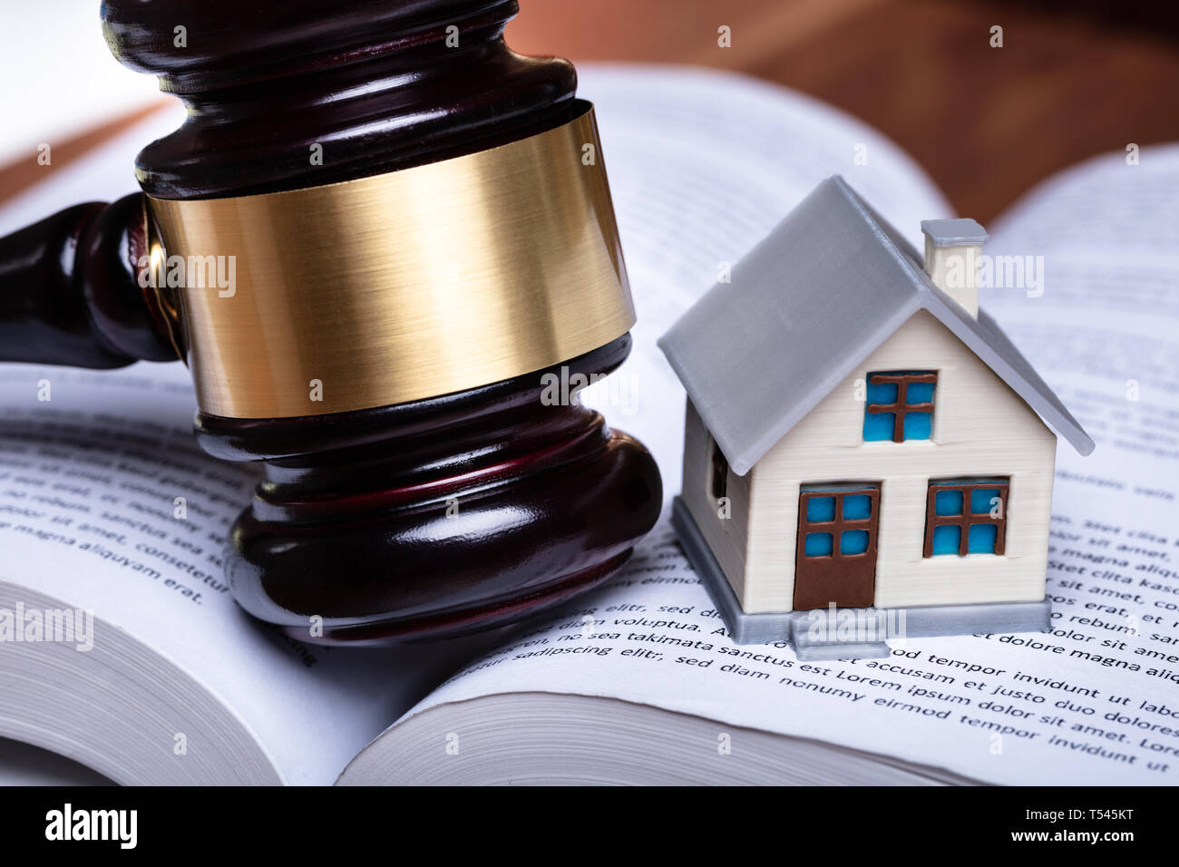 Close-up of Miniature House and Gavel On Open Book Banque D'Images