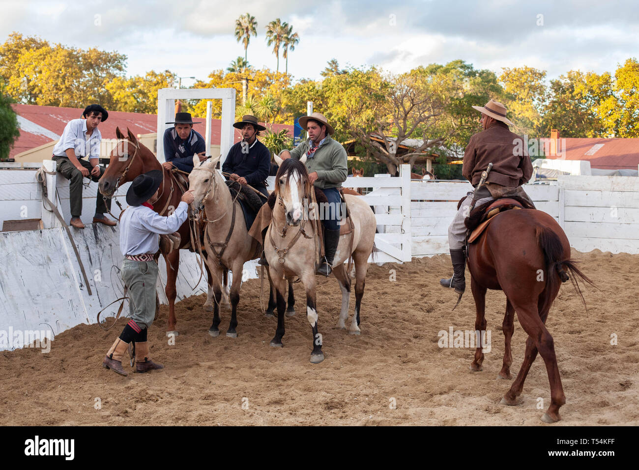 Montevideo, Uruguay. Apr 20, 2019. Gauchos (Cowboys) vu les chevaux pendant la semaine "Ciolla' rodeo à Montevideo. En avril de chaque année depuis 1925, le Festival de la Semaine de La Criolla est célébré à Montevideo où Gaucho (Cowboy) monter les chevaux sauvages pour perpétuer la tradition du pays. En dehors de la Rodeo show il n'y a plusieurs spectacles musicaux et gastronomie traditionnelle. Credit : SOPA/Alamy Images Limited Live News Banque D'Images