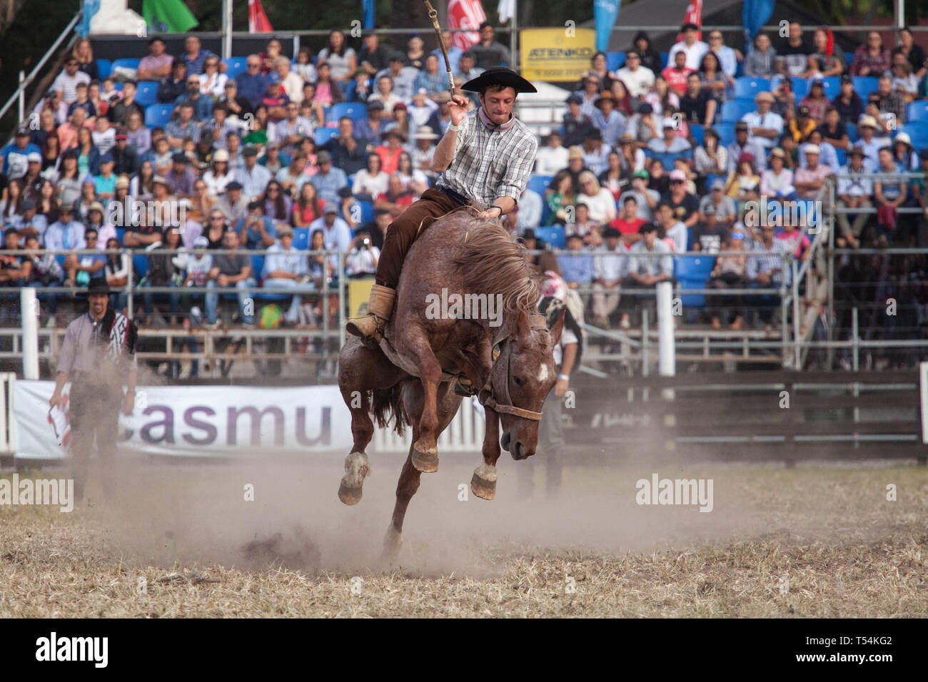 Montevideo, Uruguay. Apr 20, 2019. Un Gaucho (Cowboy) vu un cheval au cours de la semaine 'Criolla' rodeo à Montevideo. En avril de chaque année depuis 1925, le Festival de la Semaine de La Criolla est célébré à Montevideo où Gaucho (Cowboy) monter les chevaux sauvages pour perpétuer la tradition du pays. En dehors de la Rodeo show il n'y a plusieurs spectacles musicaux et gastronomie traditionnelle. Credit : SOPA/Alamy Images Limited Live News Banque D'Images