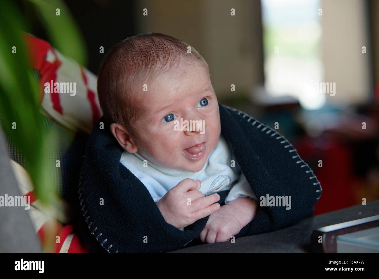 Bébé de 2 mois Banque D'Images