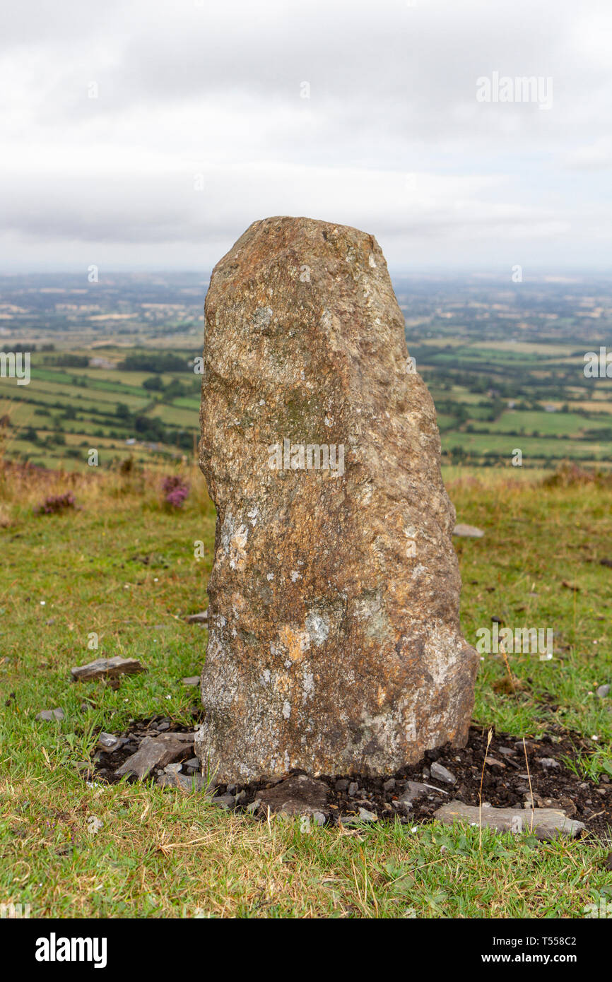 Portrait d'une des neuf pierres, Mount Leinster près de Bunclody, Comté de Carlow, Irlande. Banque D'Images