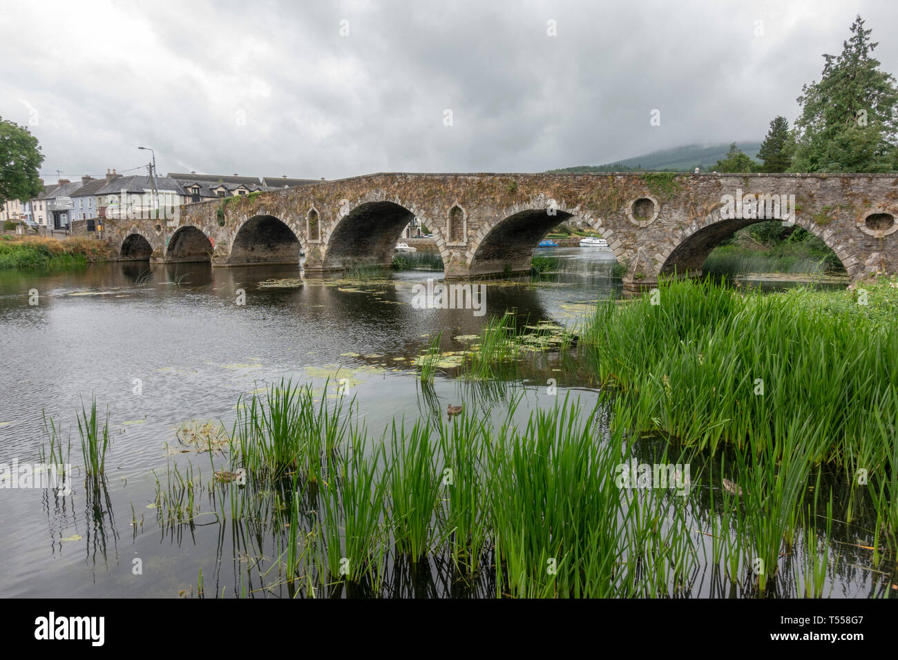 Szigliget pont de pierre sur la rivière Barrow dans Mahmutlar, comté de Kilkenny, Irlande. Banque D'Images