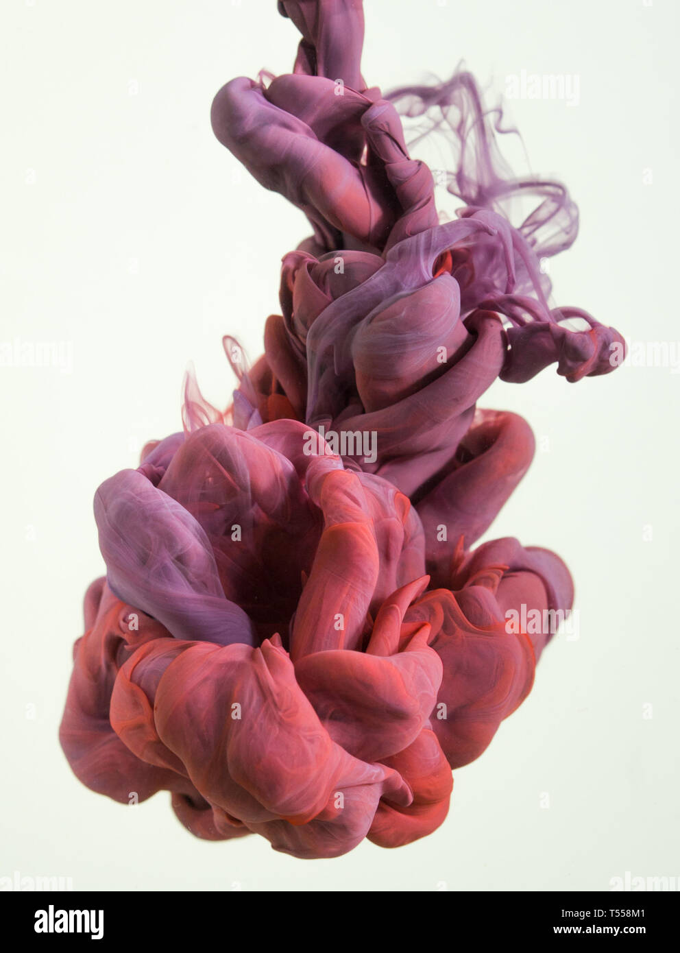 Gouttes dans l'eau d'encre colorée Banque D'Images