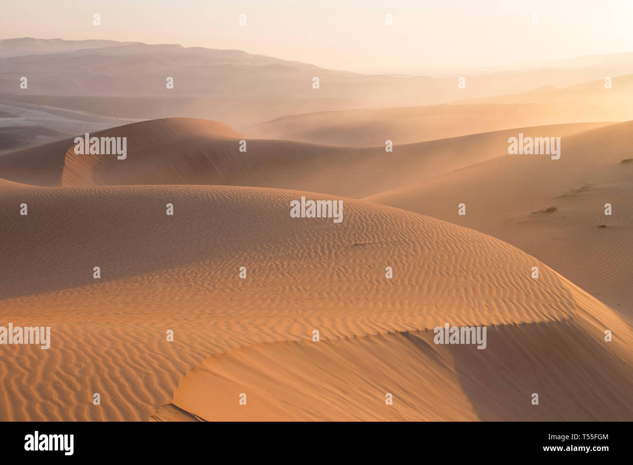Émirats arabes unis, Abu Dhabi Province, oasis de Liwa, désert du Rub Al Khali (quart vide) Banque D'Images
