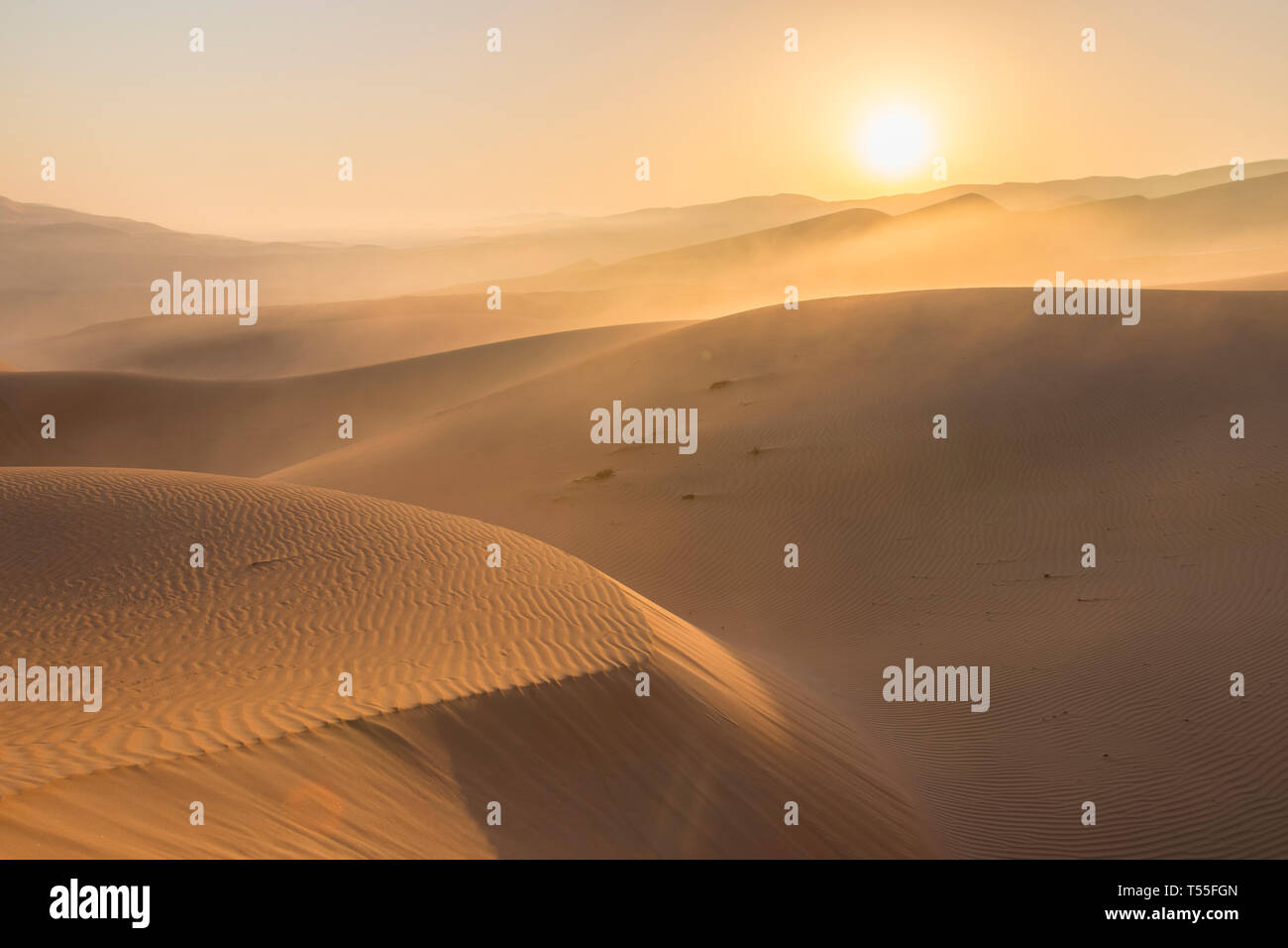 Émirats arabes unis, Abu Dhabi Province, oasis de Liwa, désert du Rub Al Khali (quart vide) Banque D'Images