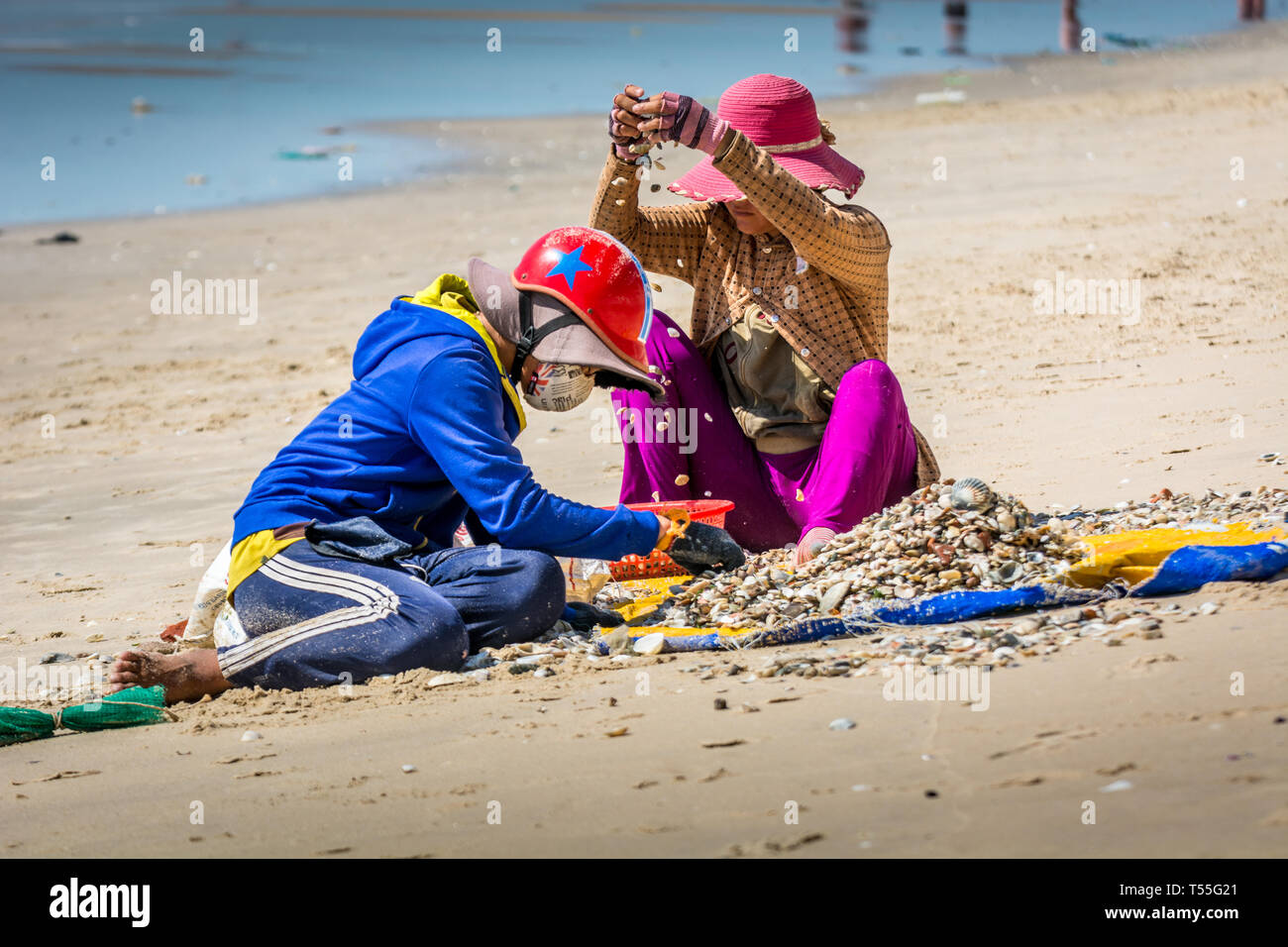 Pêcheur vietnamien collectant des coquillages sur la plage.Voyage Vietnam huîtres collectrices locales Banque D'Images