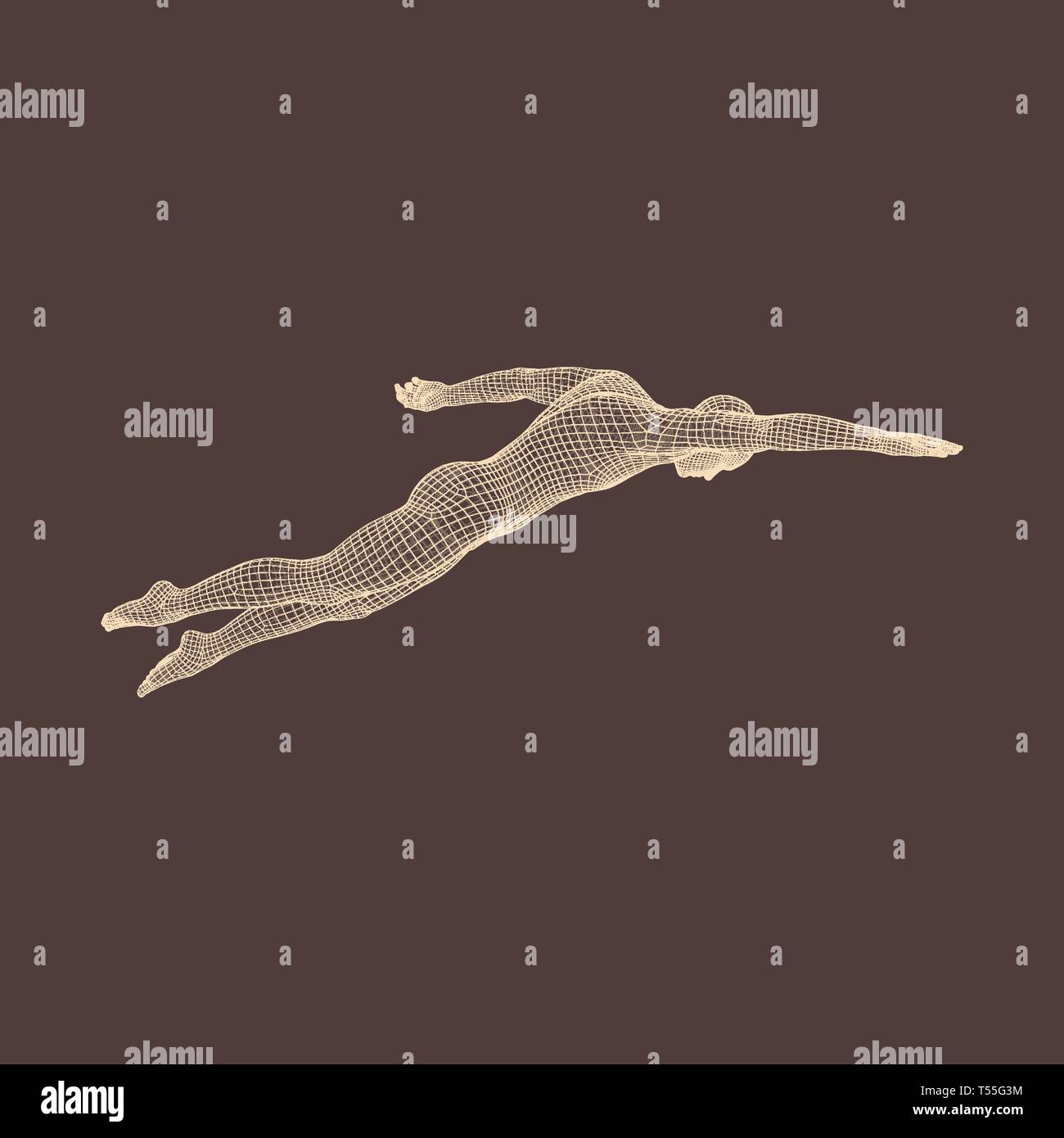 Piscine 3D L'homme. Image vectorielle d'un nageur. Corps humain. Symbole du sport. L'élément de conception. Illustration de Vecteur