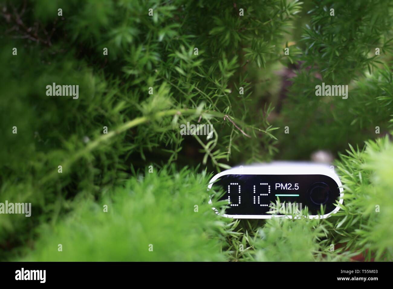 La mesure de la qualité de l'air extérieur. les particules (PM 2.5.2.5) capteur dans un buisson. Une poussière nuisible indiqué détecteur acceptable de qualité de l'air en bonne santé Banque D'Images