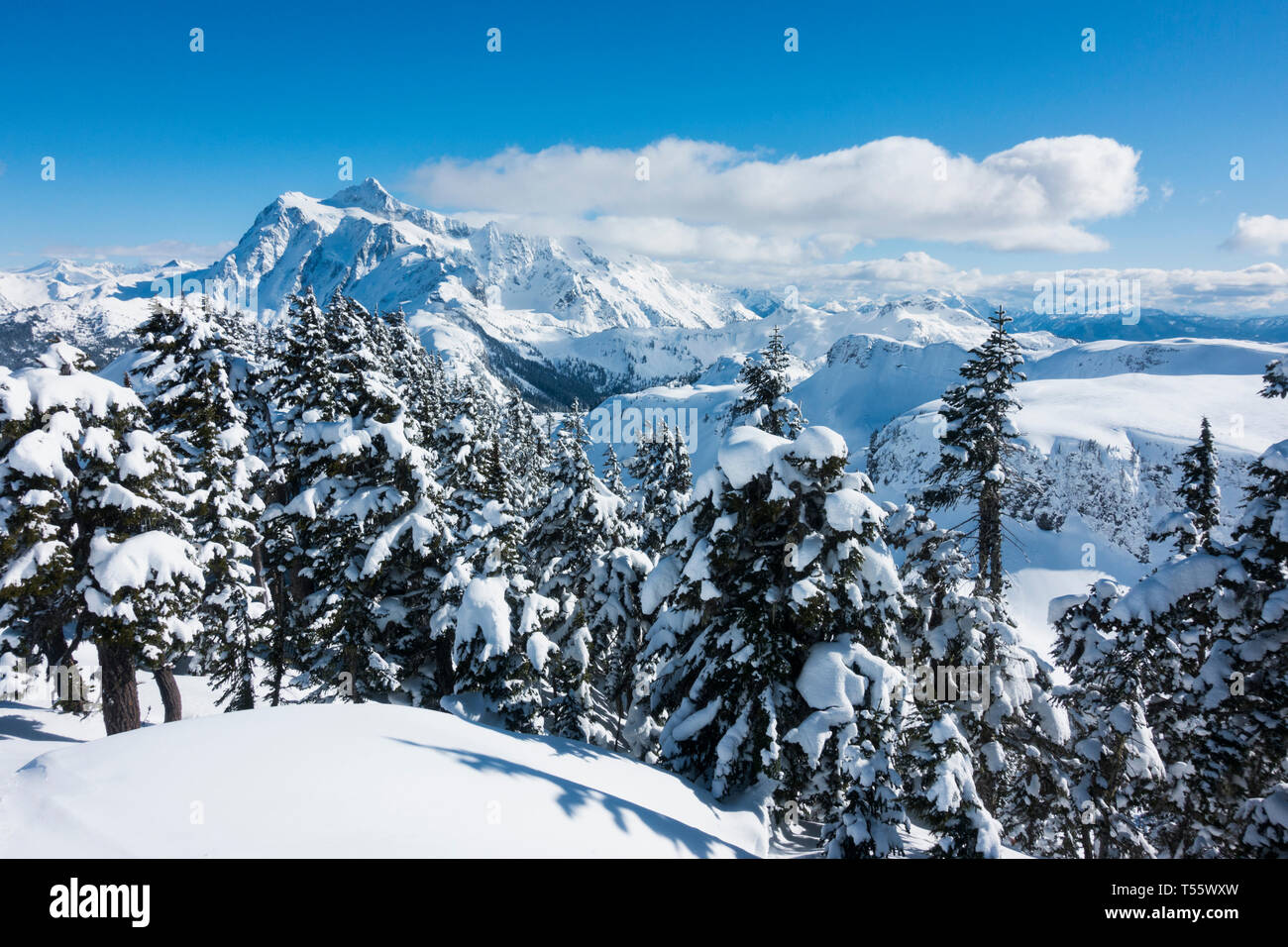 Station de ski de Mount Baker dans l'État de Washington, USA Banque D'Images