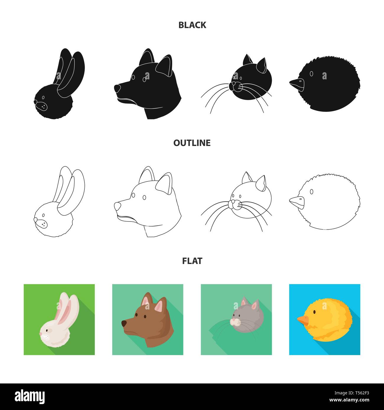Brebis Chevre Chat Lapin Animaux Face Chaton Animal Fromage Agneau Lait Produits Laitiers Laine Lapin Mignon Viande Lievre Moelleux Funny Queue Professionnels Race Fourrure Mouton Paturage Fun Elevage Agriculture Reproduction Ranch Organiques