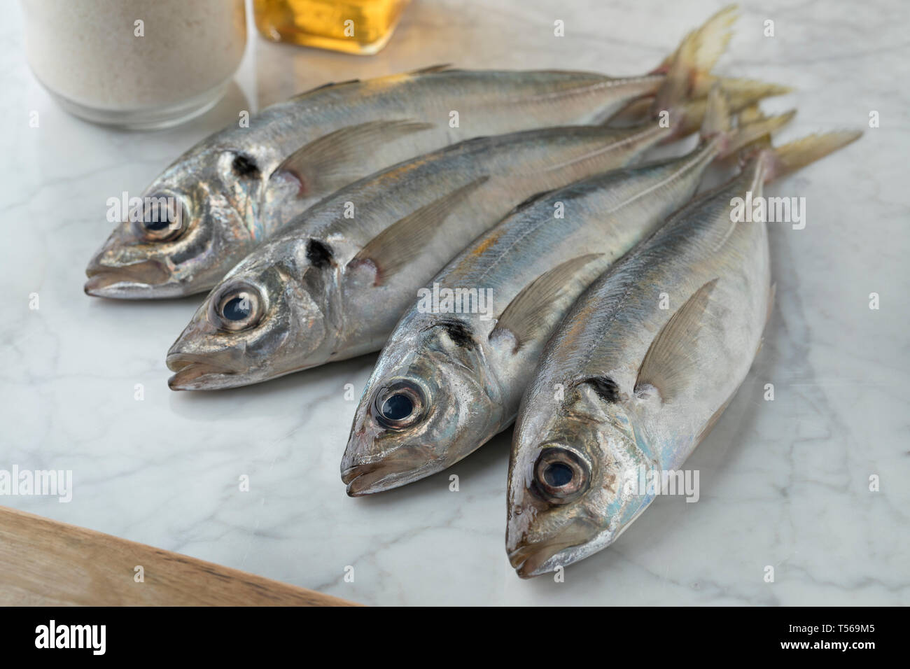 Pris frais maquereaux cheval cru prêt à cuire Banque D'Images