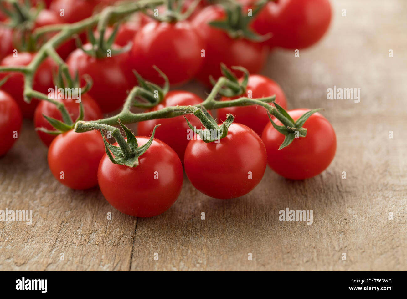 Avec la vigne rouge sucré tomates cerises mûres sur une vigne Banque D'Images