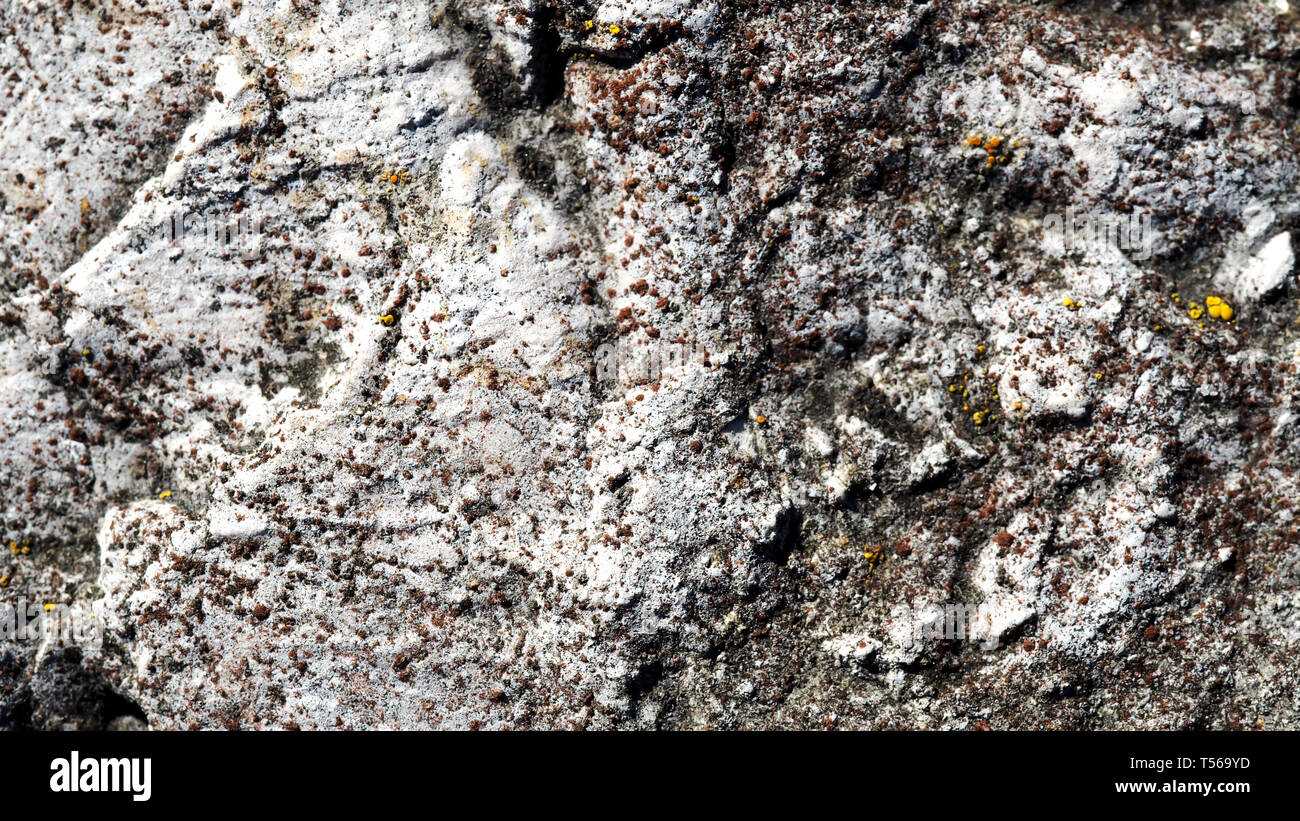 Avec mousse colorée envahi par la surface d'un rocher pour un fond rocheux Banque D'Images