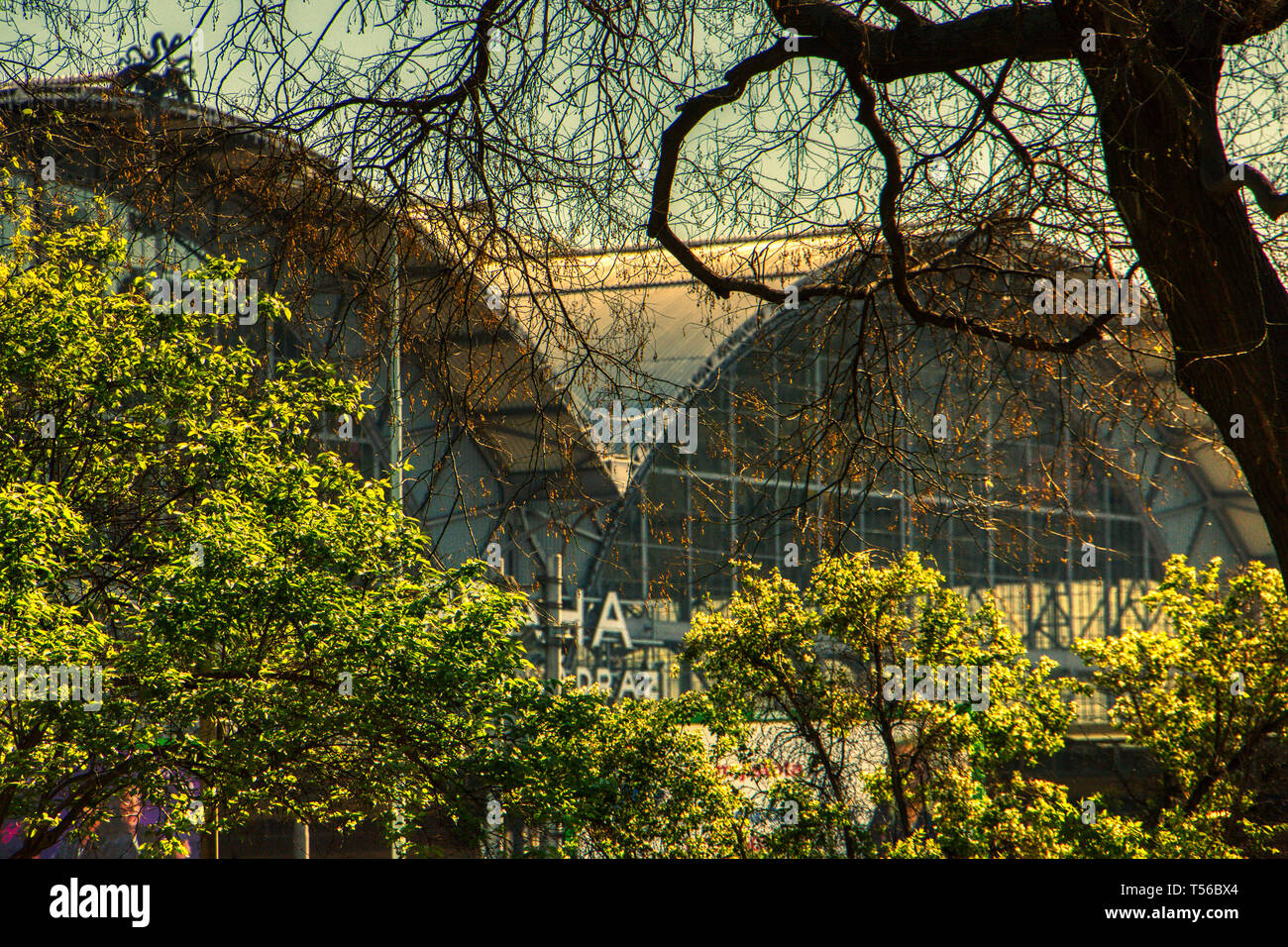 Prague, République tchèque 21 de Avril de 2019 - close up of sign derrière des arbres Banque D'Images