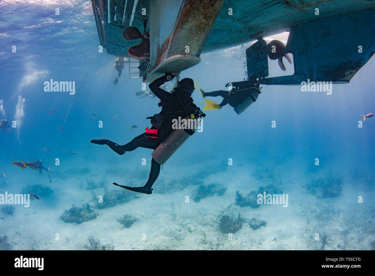 Les plongeurs s'accrocher à des cordes et la coque du bateau lors de leur arrêt de sécurité après une plongée en eau profonde dans les Caraïbes Banque D'Images