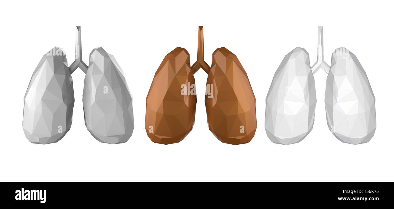 Le rendu 3D polygonal faible lung isolated on white Banque D'Images