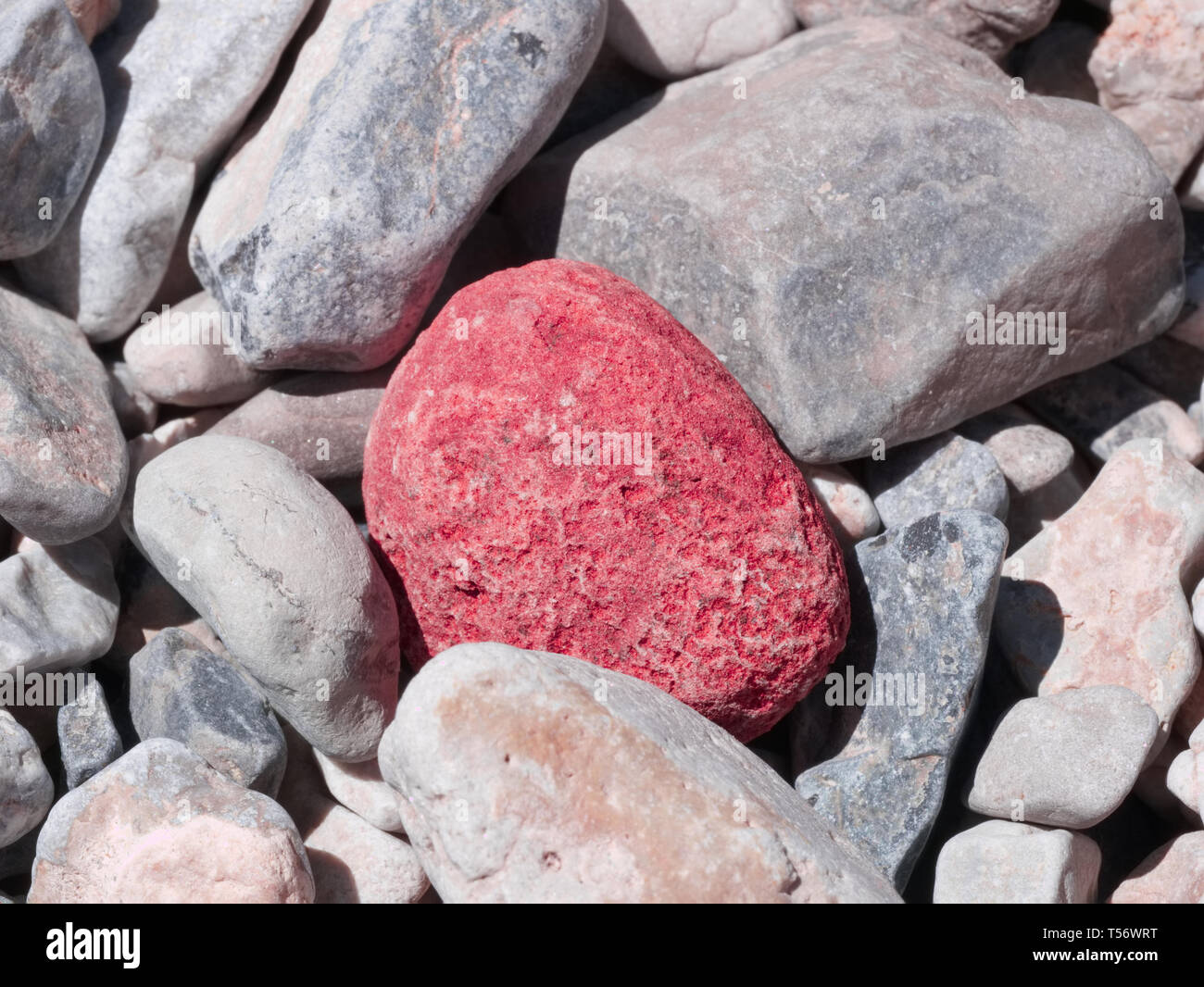 Une seule pierre rouge niché dans un désert de gravier gris crique Banque D'Images