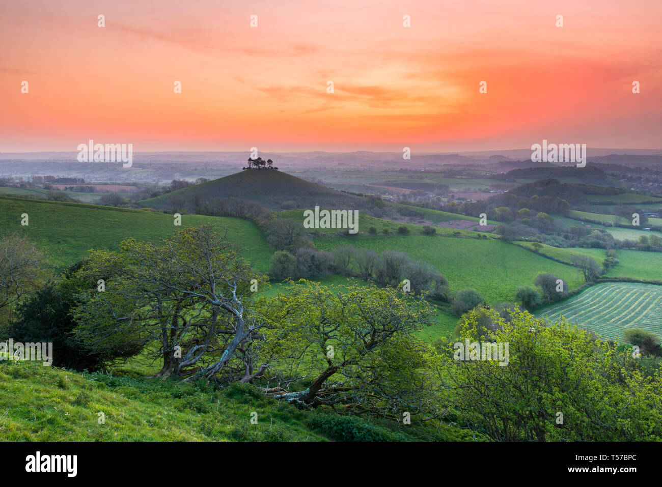 Bridport, Dorset, UK. 22 avril 2019. Météo britannique. Le ciel devient orange vif au lever du soleil au-dessus de Bill Colmers Hill, près de Bridport Dorset dans le Lundi de Pâques. Crédit photo : Graham Hunt/Alamy Live News Banque D'Images