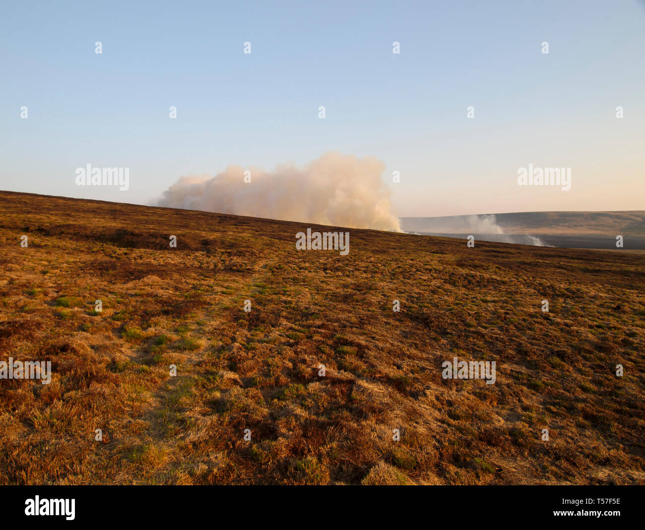 Marsden Moor Estate, Huddersfield, UK. 22 avril, 2019. La Lande de feu près de l'humidité sur vert mousse près, l'un d'une série d'incendies de unseasonal en raison d'un printemps sec et chaud. Credit : M Kyle/Alamy Live News Banque D'Images