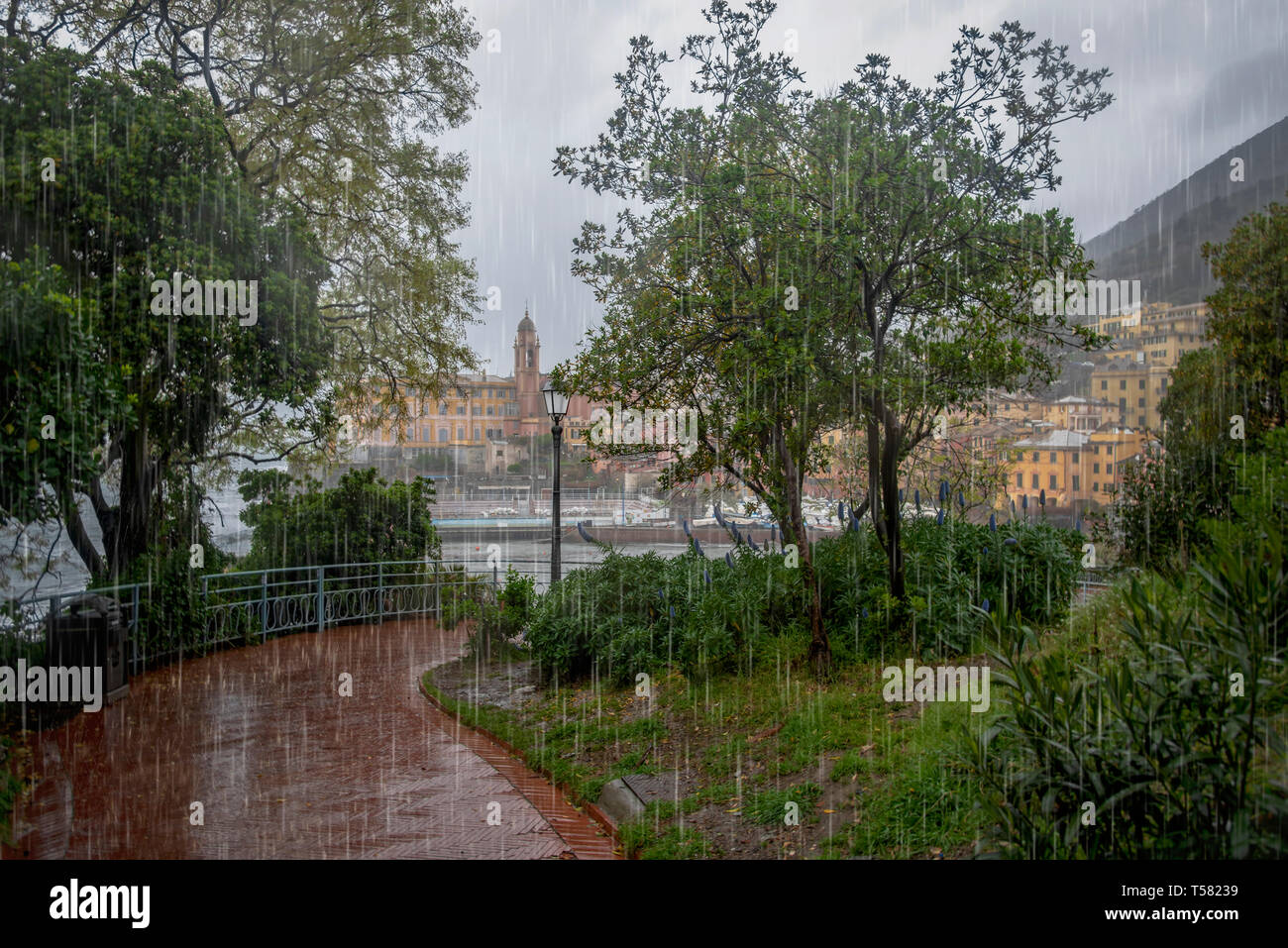Temps de pluie dans la région de Gênes, Ligurie, Italie, avec une vue sur la ville sur la baie le long d'un sentier du littoral désert humide dans un concept de voyage Banque D'Images