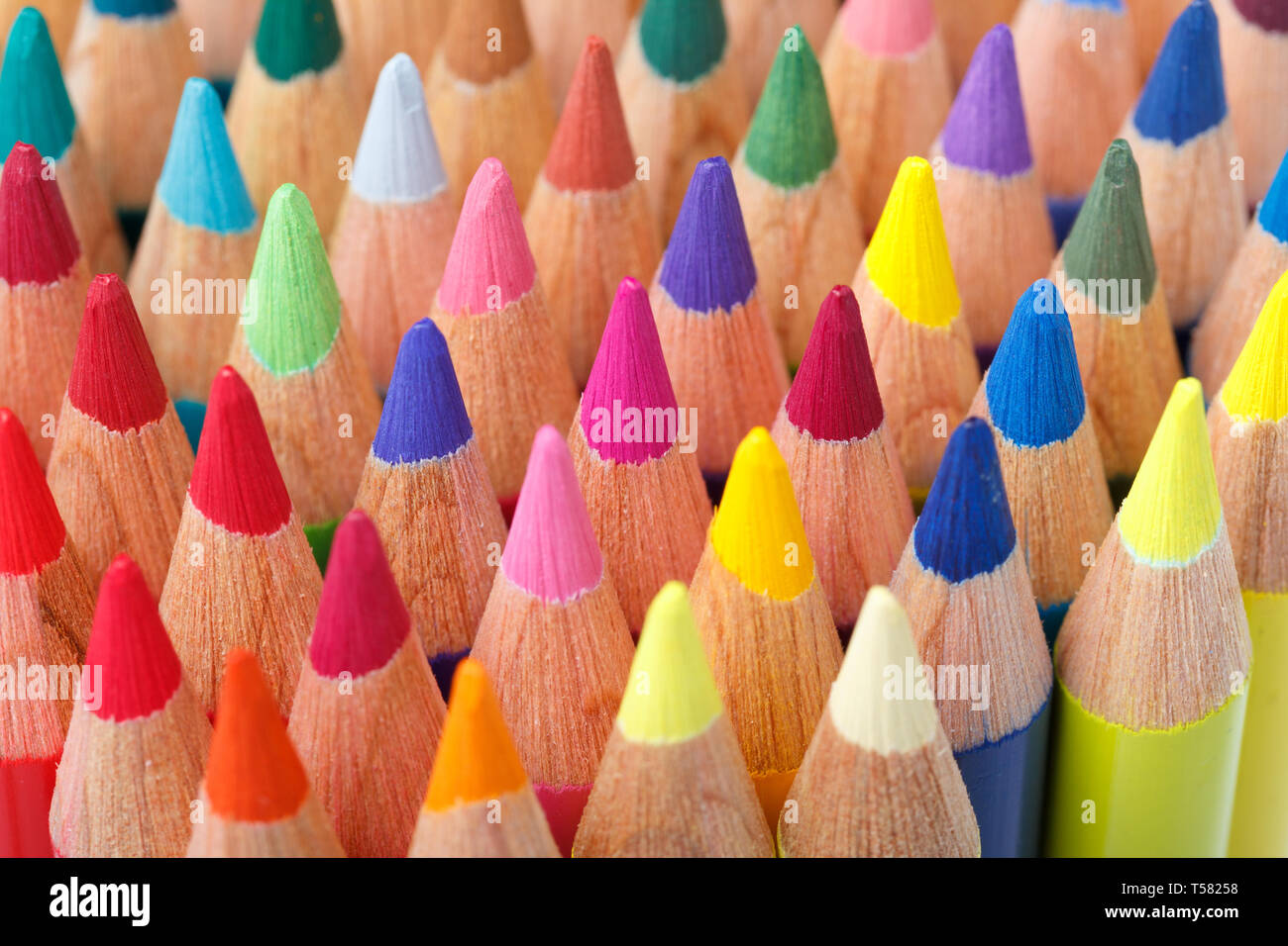 Macro shot Multi Coloured Pencils Banque D'Images