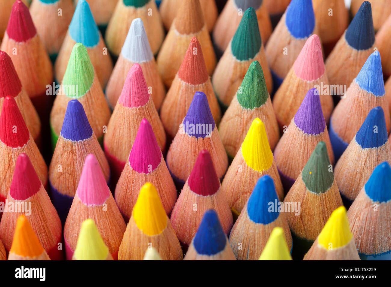 Macro Multi Coloured Pencils Banque D'Images