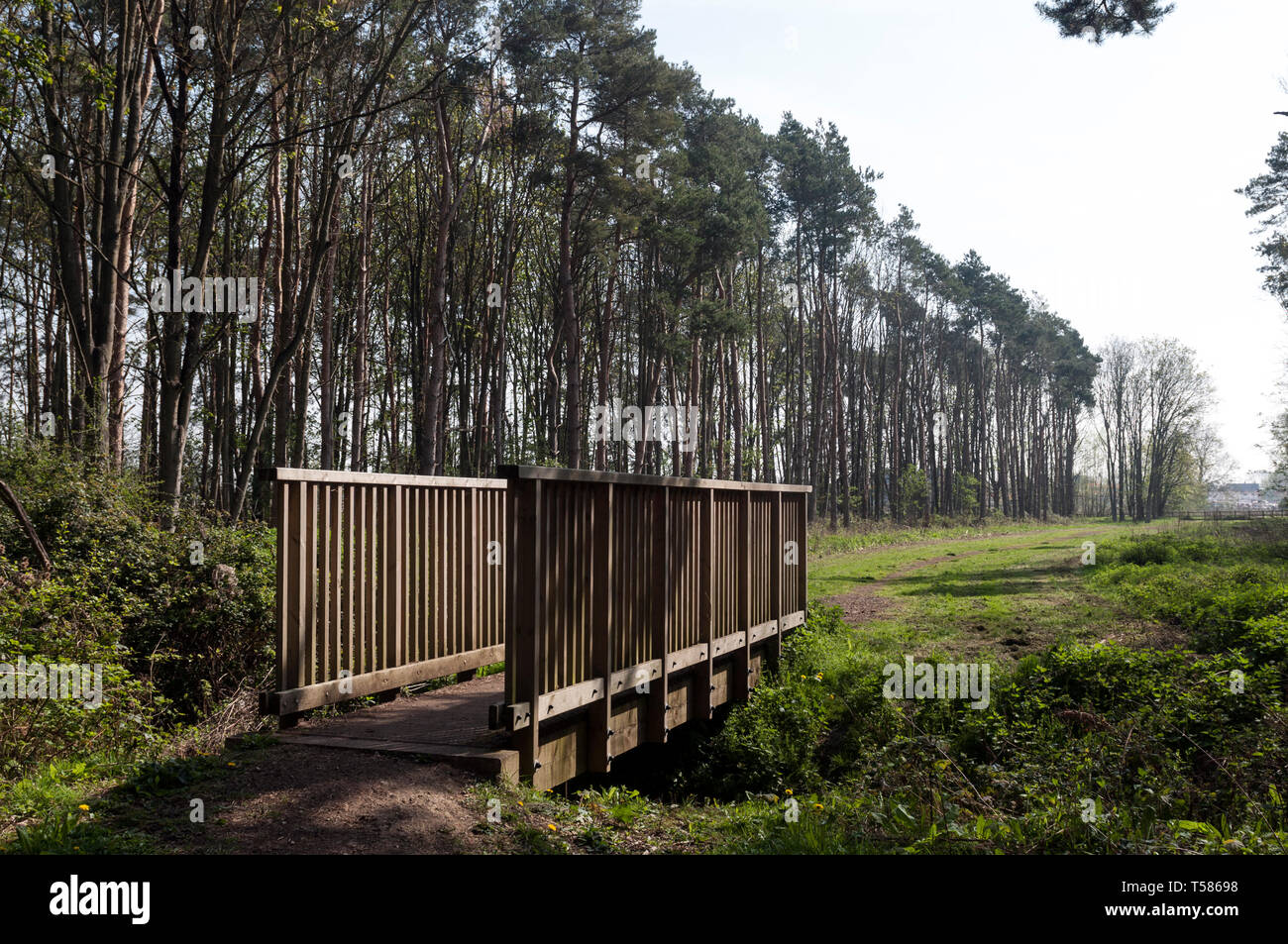 Le Woodland Walk, Meon Vale, Long Marston, Warwickshire, England, UK Banque D'Images