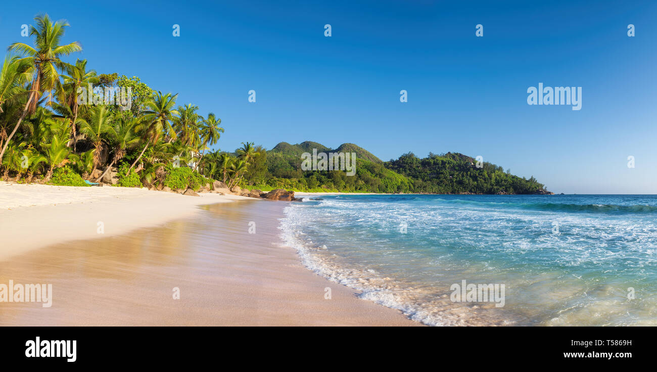 Vue panoramique de sunny beach avec palmiers et mer turquoise. Banque D'Images