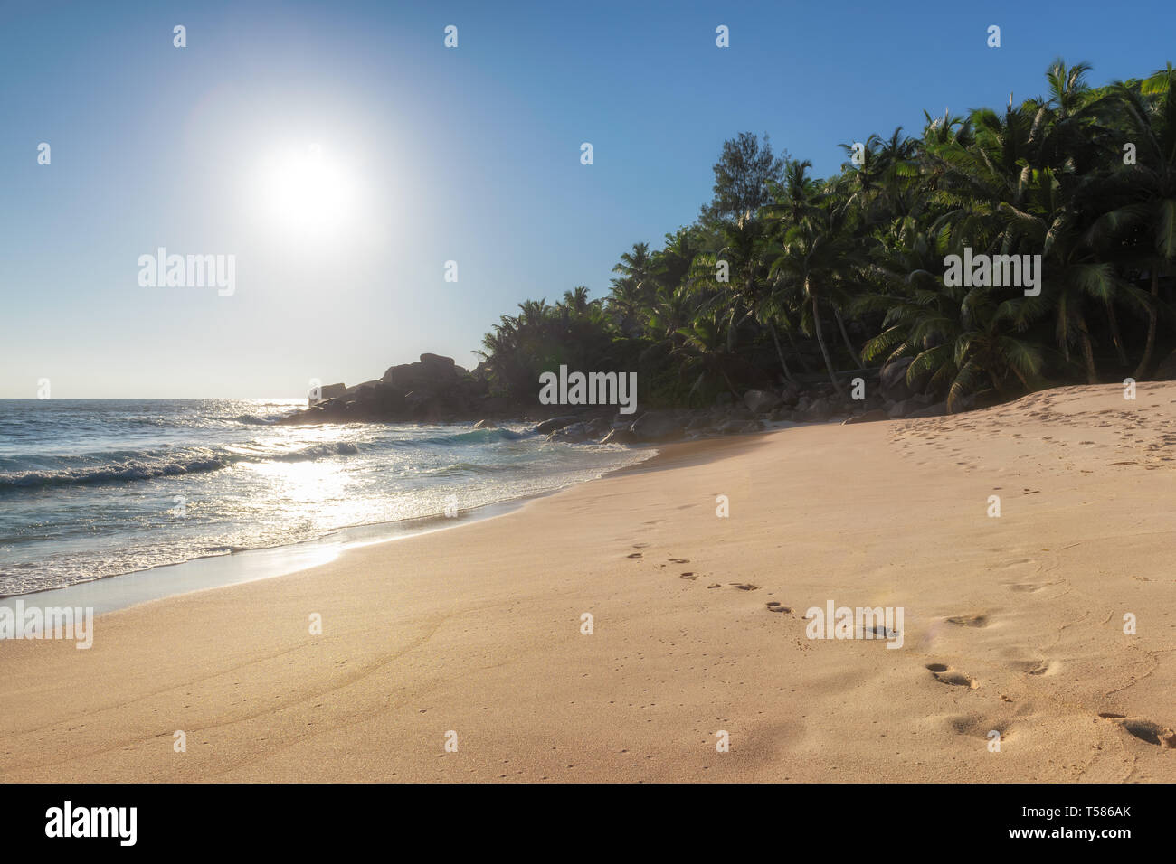 Paradise Beach au coucher du soleil sur l'île tropicale Banque D'Images