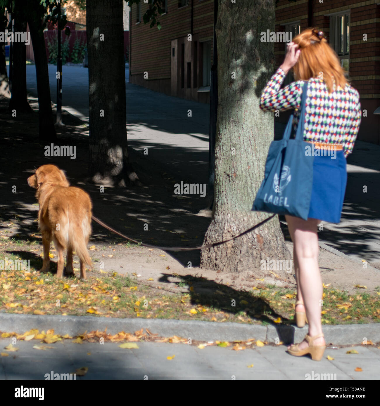 Une femme aux couleurs coordonnées et golden retriever dans un parc à Stockholm. Banque D'Images