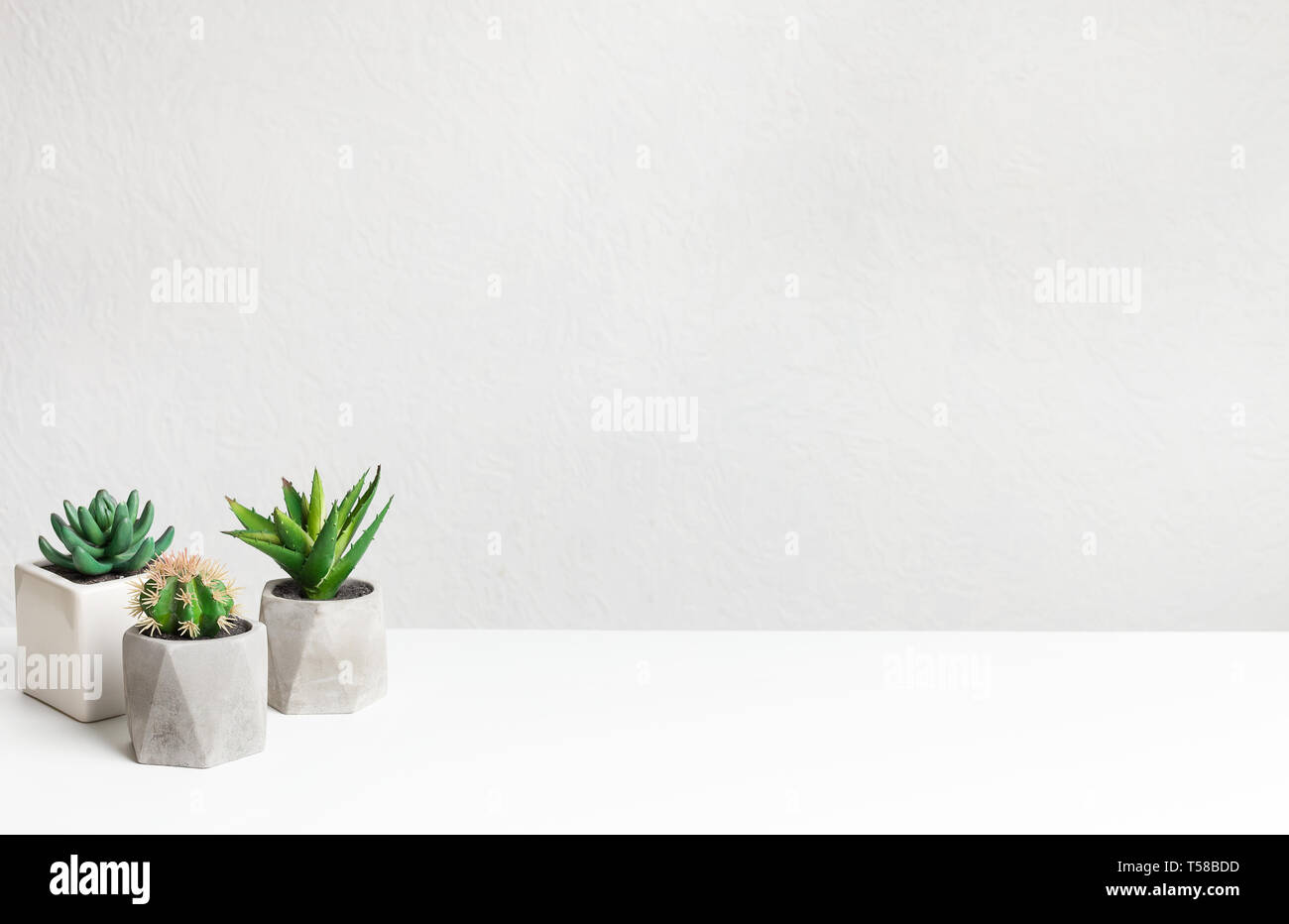 Petit Cactus Plantes en pots sur le tableau sur mur gris Banque D'Images