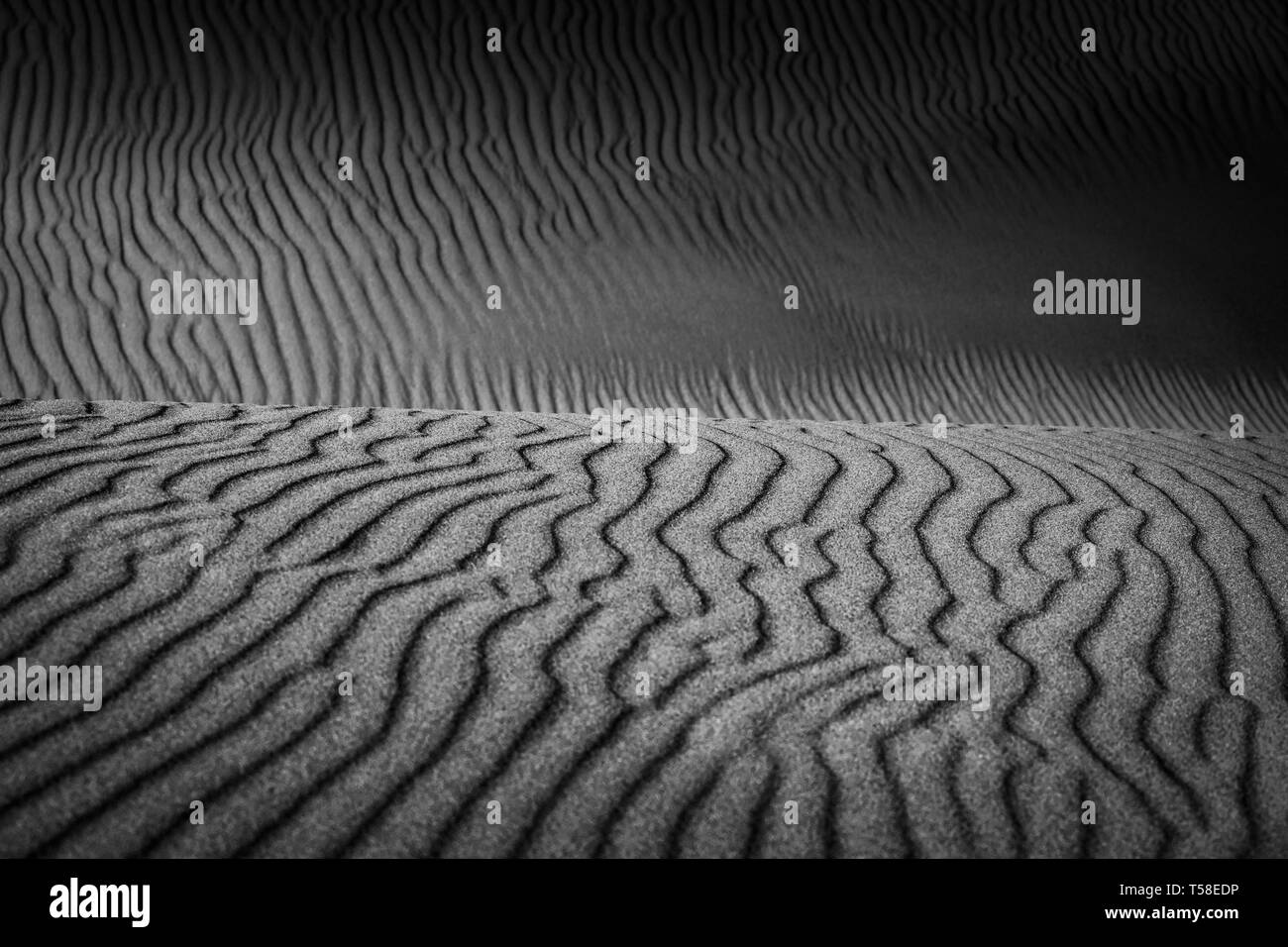 Belles lignes ondulées creusée dans les dunes de sable à Bolonia, Espagne en noir et blanc Banque D'Images